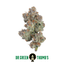 Galactic Warheadz Buds 7 Gram