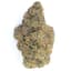 Zoap Buds 28 Gram