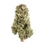 Cherry Pie Buds 14 Gram