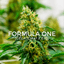 Formula One Buds 4 Gram