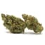 Skunk Dawg Buds 3.50 Gram
