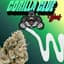 Gorilla Glue Buds 14 Gram
