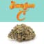Emergen C Buds 3.50 Gram