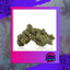 Pineapple Buds 3.50 Gram