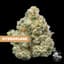 Hydroplane Buds 3.50 Gram
