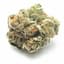 Poochie's Papaya Buds 14 Gram