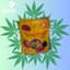 Tropical Mango Gummies 20 Mg