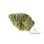 Dirty Little Secret Buds 3.50 Gram