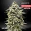 Cap Junky Buds 3.50 Gram