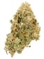 Fuel Biscuit Buds 3.50 Gram