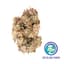 Sugar Mint Buds 3.50 Gram