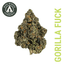 Gorilla Fuck Buds 3.50 Gram