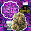 Purple Haze Buds 3.50 Gram