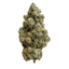 Cheese Buds 3.50 Gram