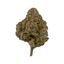 Cheetah Piss Buds 3.50 Gram