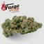 Gummiez Buds 1 Gram