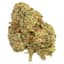 Banjo Buds 14 Gram
