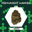 Permanent Marker Buds 14 Gram