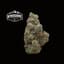 Gush Mints Buds 28 Gram