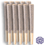 Starfighter 10 Pack Pre Rolls 10 Gram