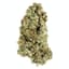 Animal Mints Buds 14 Gram