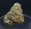 Purple Punch Buds 3.50 Gram