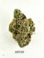 Wedding Cake Buds 1 Gram