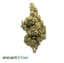 40 Years Buds 8 Gram