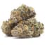 Grape Gas Buds 7 Gram