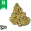 Gello Buds 14 Gram