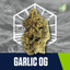 Gog [5.66g]