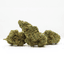 Gorilla Quake Buds 1 Gram