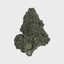 Glazed Buds 28 Gram