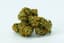 Tangerang Buds 1 Gram