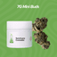 Boof Bomb Buds 7 Gram