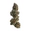 Runtz Buds 3.50 Gram