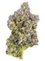 Pillow Talk Buds 3.50 Gram