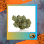 Surfside Og Buds 3.50 Gram