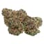 Permanent Marker Buds 28 Gram