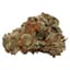 Kush Cookies Buds 3.50 Gram
