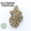 Truffles Buds 28 Gram