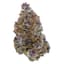 Trop Cherry Buds 7 Gram