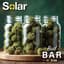 Animal Gas Buds 3.50 Gram