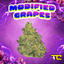 Modified Grapes Buds 14 Gram