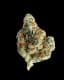 Grape Jelly Buds 28 Gram