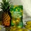 Pineapple 100 Mg Edibles Soft Candy Gummies 10 Pack