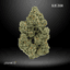 Blue Zushi Buds 7 Gram