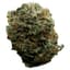 Vanilla Frosting Buds 28 Gram