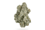 Splash Buds 3.50 Gram