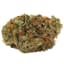 Slow Lane Buds 3.50 Gram